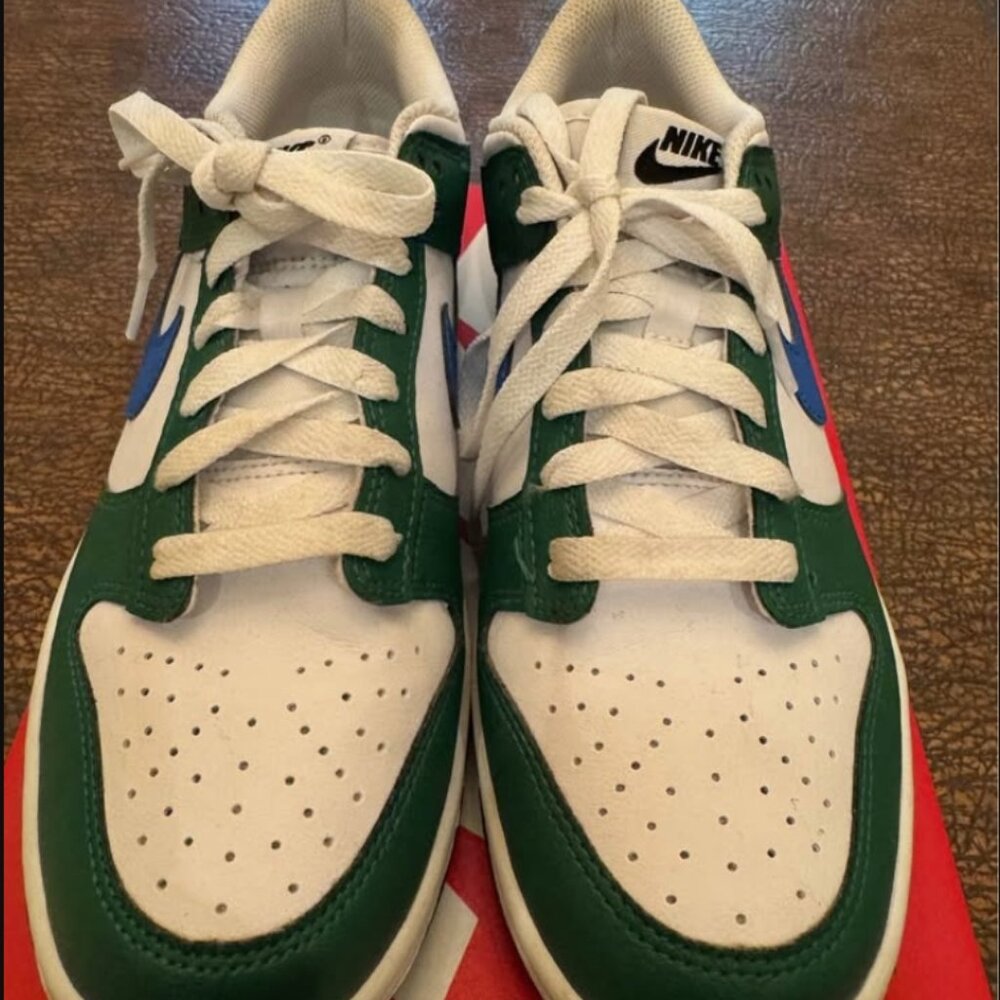 Boy's Nike Dunk Low